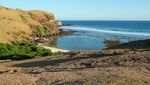 Bukit Merese dan Pohon Galau di Lombok