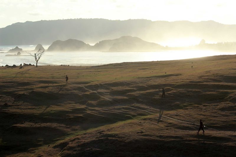 Bukit Merese dan Pohon Galau di Lombok Foto 4