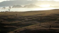 Bukit Merese menjadi salah satu objek wisata andalan di kawasan Mandalika, NTB. Selain dikenal akan pohon galau yang jadi spot foto, dari Bukit Merese traveler bisa melihat indahnya sunrise hingga sunset dan Tanjung Aan (Randy/detikTravel)