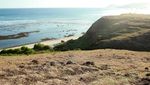 Bukit Merese dan Pohon Galau di Lombok