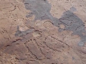 Kisah Kolam & Jejak Kaki Manusia Pertama di Dunia
