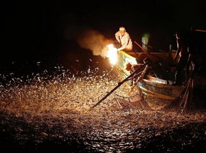 Tradisi Unik di Taiwan, Tangkap Ikan Pakai Obor