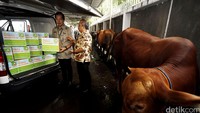 Paket Superkurban adalah paket berupa daging sapi dan olahan dalam kemasan kaleng yang praktis dan mudah dikonsumsi.