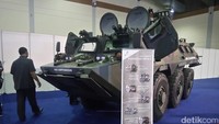 Anoa 6x6 APC (Armoured Personnel Carrier) merupakan generasi pertama yang dibuat oleh PT Pindad. Adapun jenis panser Anoa lain yang disesuaikan dengan kebutuhan di antaranya Anoa 6x6 Mortar, Anoa 6x6 Command, Anoa 6x6 Amphibious, Anoa 6x6 Recovery, Anoa 6x6 Logistics, dan Anoa 6x6 Ambulance. Ardan Adhi Chandra/detikcom.
