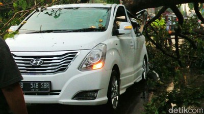 Pohon Tumbang Timpa Mobil di Depok