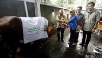 Astra Credit Companies (ACC) juga menyerahkan dua ekor sapi untuk keluarahan Tanjung Barat dan Kecamatan Jagakarsa, Jakarta Selatan.