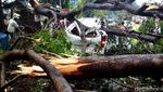 Pohon Tumbang Timpa Mobil di Depok
