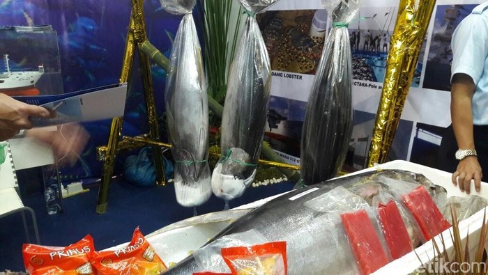 Ikan Tuna Seberat Orang Dewasa