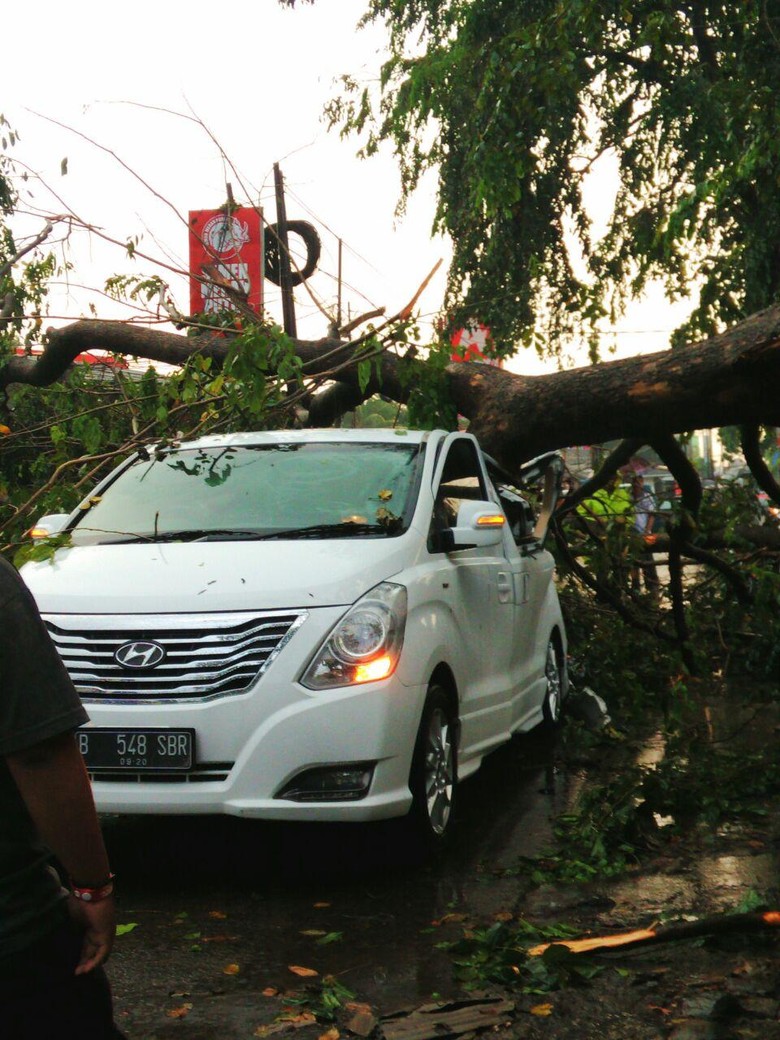 Hyundai H-1 Ditimpa Pohon Tumbang di Tanah Baru Depok Hyundai H-1 Ditimpa Pohon Tumbang di Tanah Baru Depok