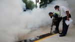 Dunia Waspada Virus Zika
