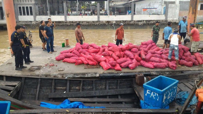 Ini Alasan Bea Cukai Sebar Barang Selundupan Gratis ke Masyarakat