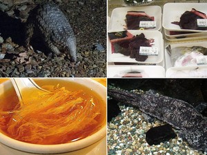 Makanan Lezat yang Jadi Kontroversi Wisatawan