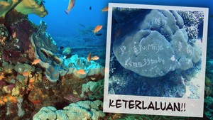 Karang Dirusak di Bali