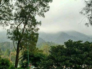 Weekend, Asyiknya Liburan ke Kebun Raya Cibodas