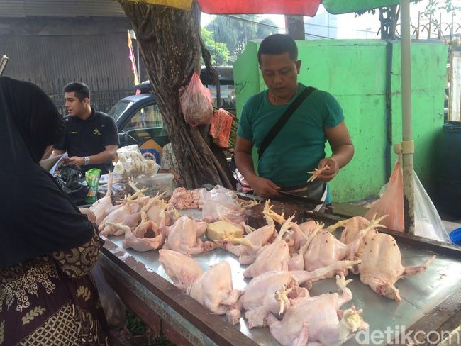 Harga Daging Ayam Naik Rp 5.000/Ekor
