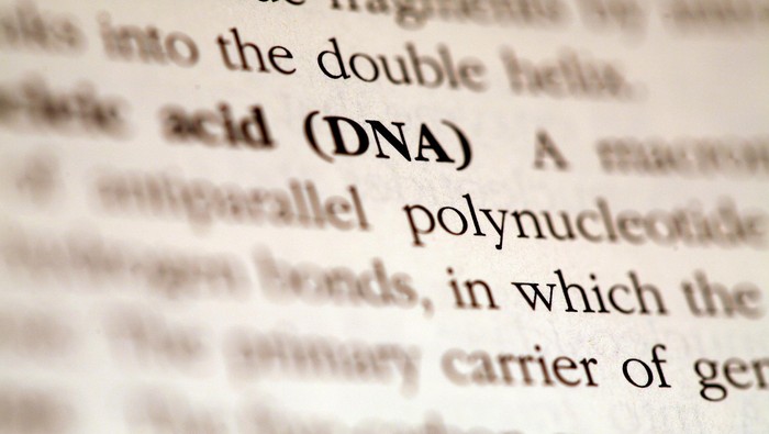 Ilustrasi DNA