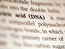 Wanita Ini Ngaku Keturunan Miliarder usai Kumpulkan Bahan Tes DNA dari Sedotan