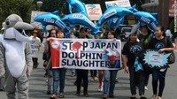 Pemerintah Jepang sudah sejak lama diminta bertindak tegas untuk menghentikan perburuan lumba-lumba di Taiji. Namun hingga kini, belum ada titik terang (CNN/AFP)