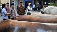 Ketua Umum PBNU KH Said Aqil Siroj menerima hewan Kurban dari Sekjen Lembaga Pendidikan Tinggi PBNU Lukmanul Hakim di Halaman Gedung PBNU, Jl Kramat, Jakarta, Sabtu (10/09/2016).