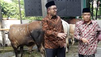 Setiap tahun Lembaga PBNU mendapatkan hewan kurban dari berbagai pihak, melalui PBNU hewan kurban ini akan disalurkan kepada yang berhak menerimanya