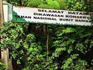 Genjot Wisata, Lampung Gelar Festival Taman Hutan Raya
