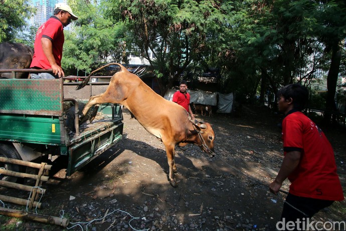 Artha Graha Berkurban