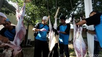 Warga melakukan pemotongan hewan kurban.