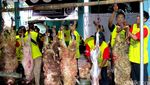 Pemotongan Hewan Kurban di Yogyakarta