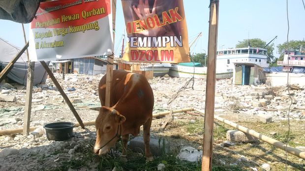 Idul Adha di Kampung Akuarium, Santap Kurban di Nestapa 