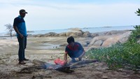 Foto: Di pantai ini, traveler bisa bersantai saat sore hari tiba. Bisa juga lho sambil bakar-bakaran seafood, ikan, udang dan kepiting. Pastinya makan jadi bertambah lahap sambil melihat pemandangan indah Pantai Tapak Antu (Khafifah/detikTravel)