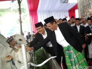 Tak Ada Pembagian di Masjid Istiqlal, Hewan Kurban Akan Didistribusikan Langsung