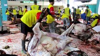 Ratusan jamaah Masjid Jogokaryan melalukan pemotongan hewan kurban yang akan dibagikan kepada masyarakat yang membutuhkan/kurang mampu.