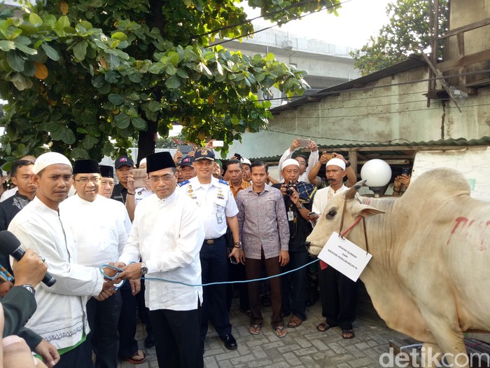 Menhub Budi Karya Salat Id di Koja Jakut, Sumbang 2 Sapi