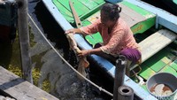 Seorang warga mencuci jeroan hewan kurban di sungai yang kotor.