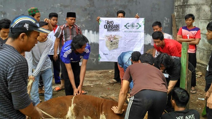 Pesantren Darul Uchwah Kedoya Terima Satu Ekor Sapi dari Lazis NU