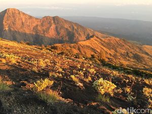 560 Pendaki Terjebak di Rinjani, Jokowi: Semua Bekerja, Semoga Selesai