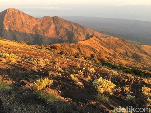 560 Pendaki Terjebak di Rinjani, Jokowi: Semua Bekerja, Semoga Selesai
