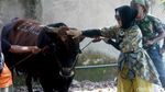 Gaya Syahrini Saat Potong Kurban di Rumahnya