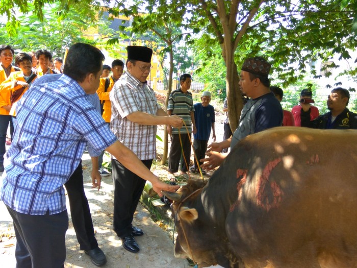 Agung Laksono Ajak PDIP Dukung Ahok