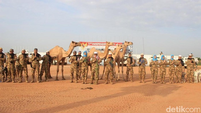 Pasukan TNI Bagikan Hewan Kurban 9 Unta, 28 Sapi, dan 304 Domba untuk Warga Sudan