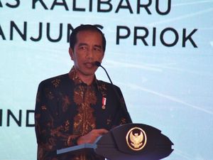 Jokowi Tegur Keras Pengelola Pelabuhan Tanjung Perak dan Belawan