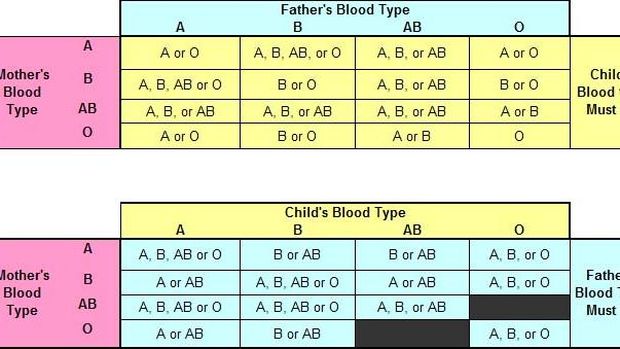 Seorang wanita bergolongan darah b heterozigot menikah dengan pria bergolongan darah a heterozigot maka kemungkinan golongan darah anak-anaknya adalah