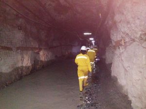 Ini Alasan Jokowi Terbitkan Aturan Baru Soal Hilirisasi Mineral