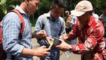 Pelajar Purwakarta Praktek Menghitung Pembangunan Jalan