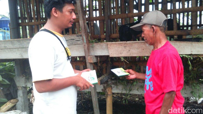 Ada Bank Kotoran Hewan Di Sleman Nasabah Dapat Premi Asuransi Ternak