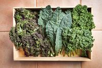 Apa Benar Makan Kale Mentah Berlebihan Bisa Gondongan? 