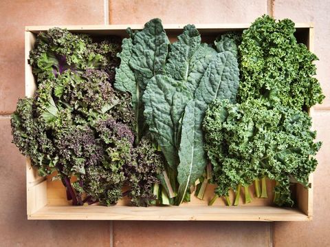 tips kale