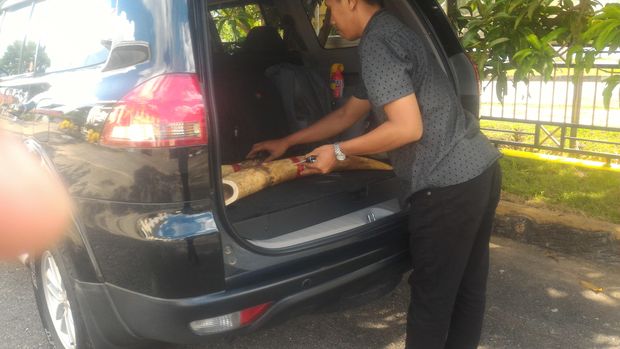 Foto: Penyerahan barang bukti ke BKSDA Jambi (Usman/detikcom)