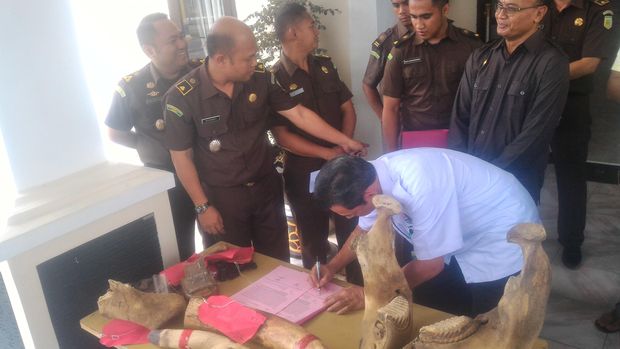Foto: Barang bukti gading dan tengkorak gajah kepada BKSDA Jambi (Usman/detikcom)