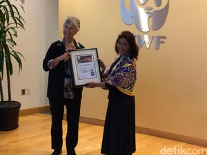 Kiprahnya Diakui Dunia, Menteri Susi Dapat Penghargaan Lingkungan dari WWF